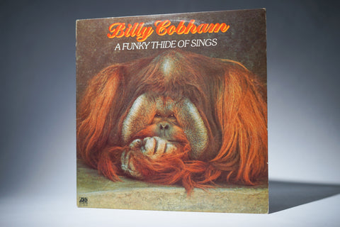 Billy Cobham - Funky Thide of Sings